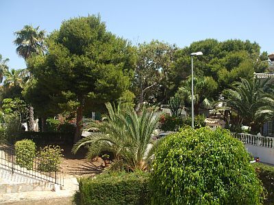 la_zenia_i._2.jpg